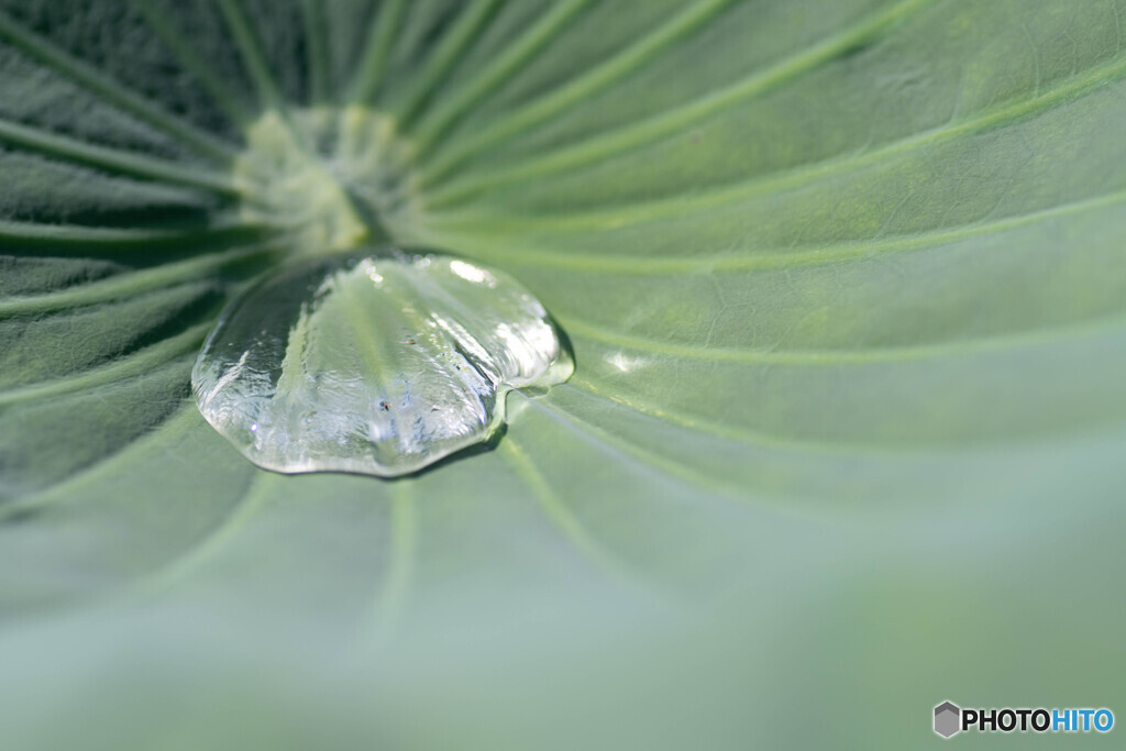 雨水が