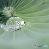 雨水が