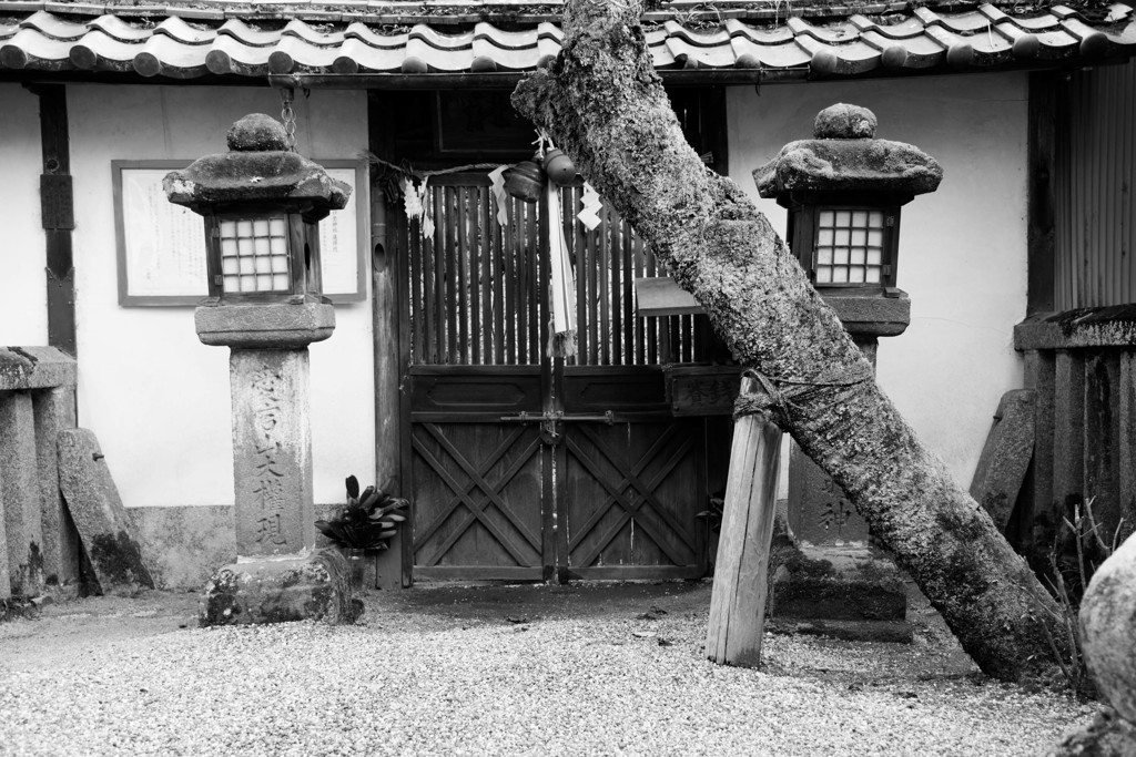 師走の大和路