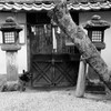 師走の大和路