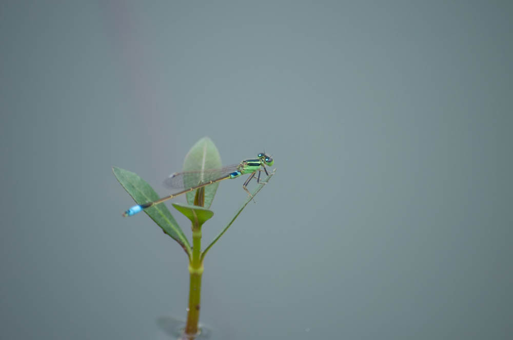 一休み　00012013
