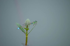 一休み　00012013