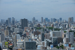遠くに大阪城も