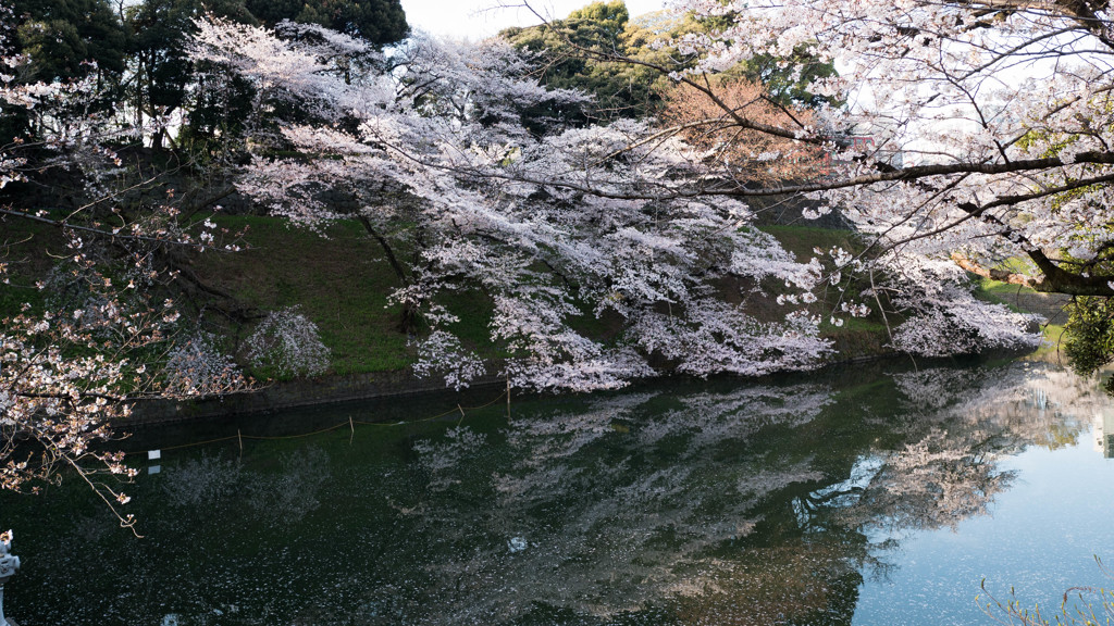 早朝に
