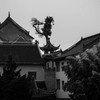揚州　禅