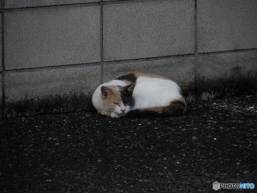 急がない、急がない！
