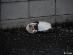 急がない、急がない！