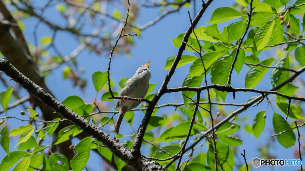 心地よく