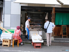 今日は、何にしましょうか？