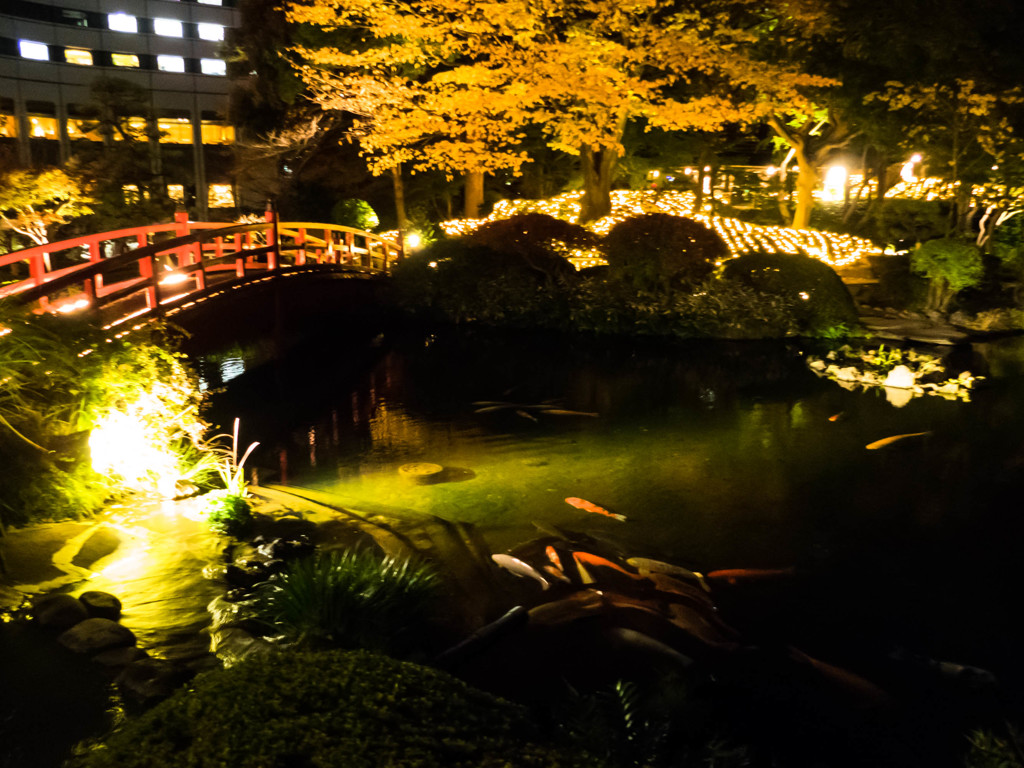 夜の秋