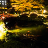 夜の秋