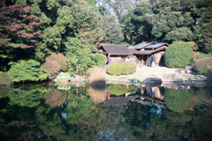 秋の一時