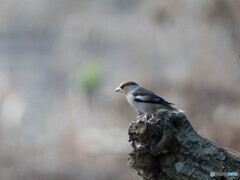 背景もスッキリ