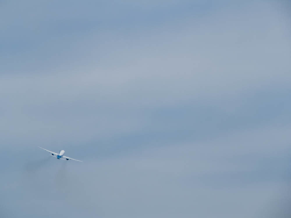 大空に羽ばたいて