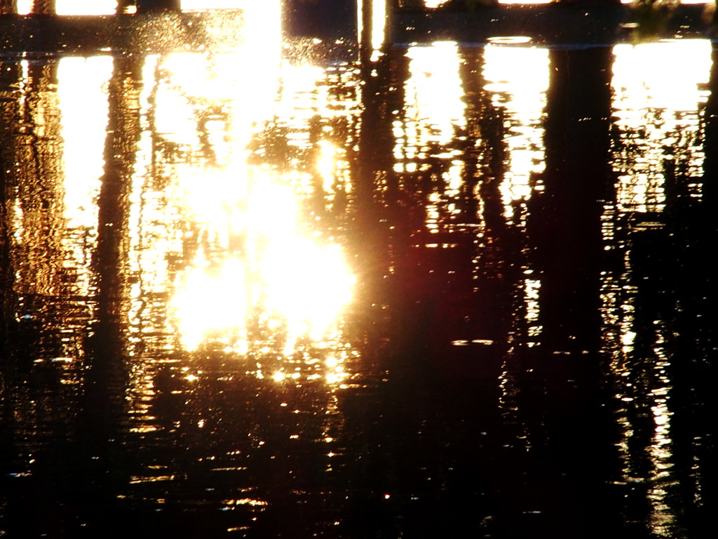 夕陽の揺らぎ
