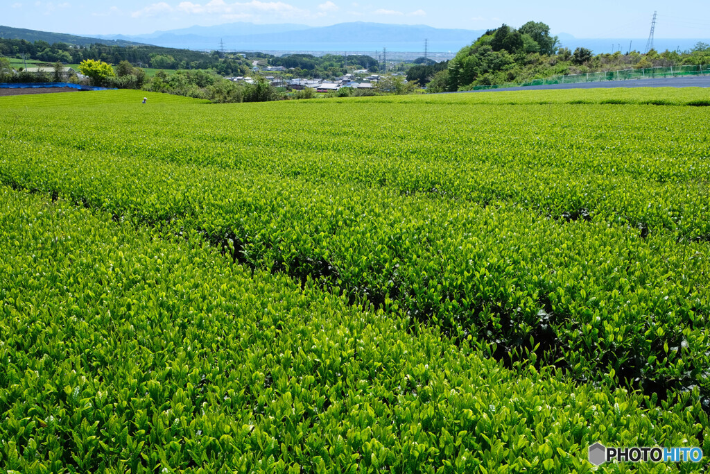 夏も近づく