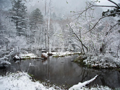 雪景色