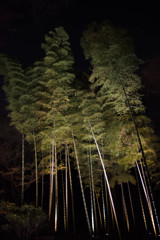 六義園　No.1