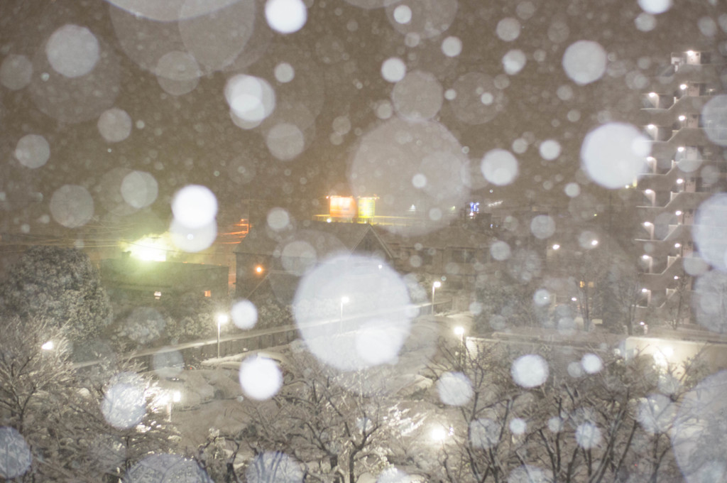 雪国へ