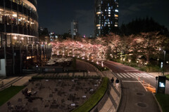 夜の散策