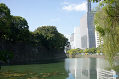 江戸と現代
