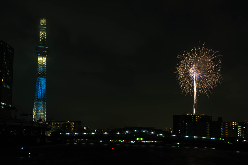 夜空の花