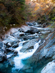 心洗う清流