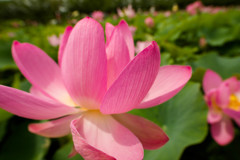 元気よく