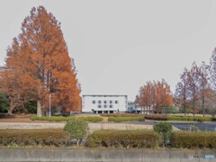 東北大学