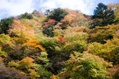 多彩に