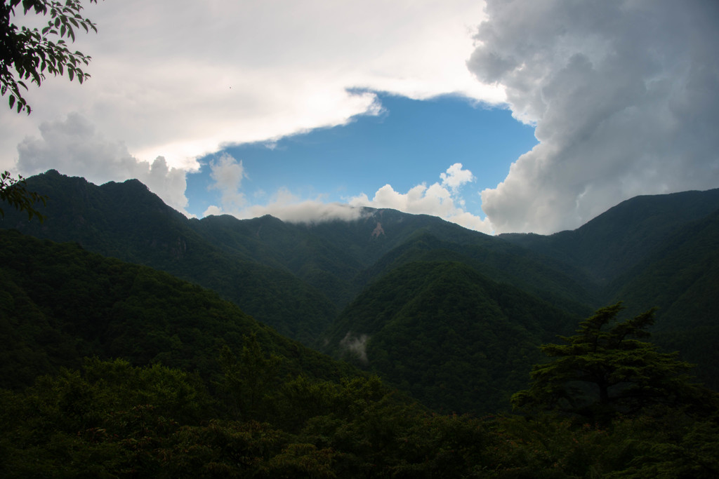 雨上がり