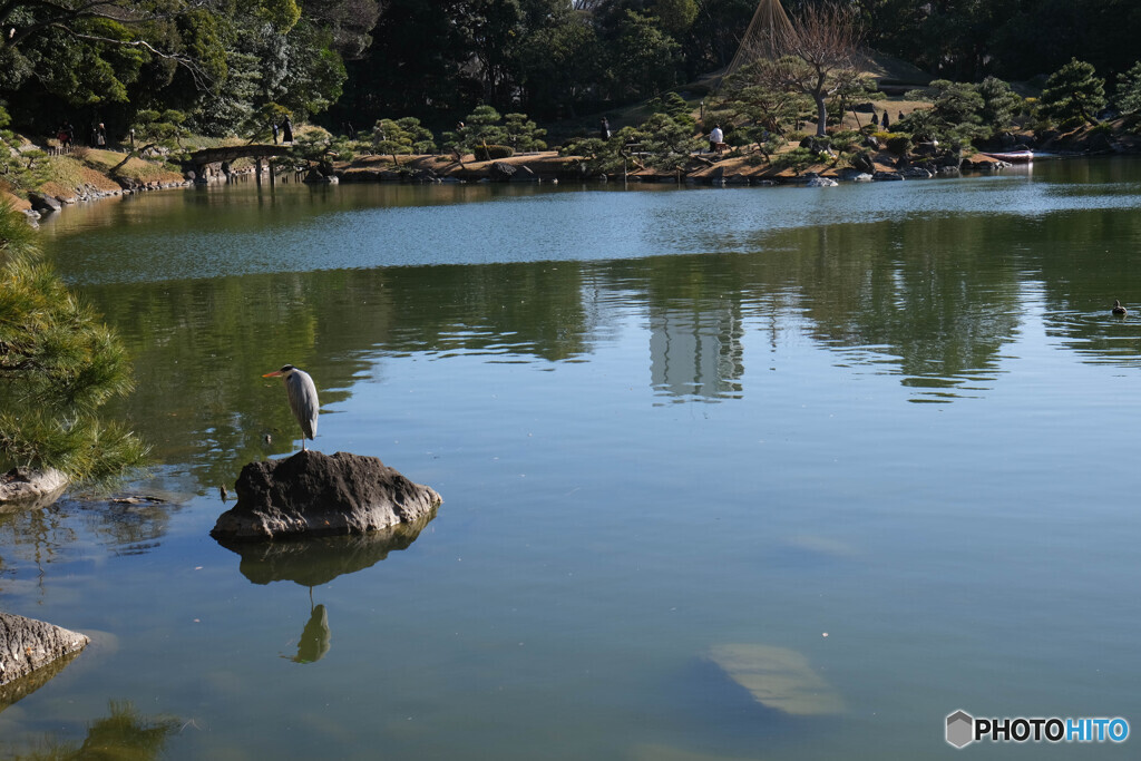 清澄庭園