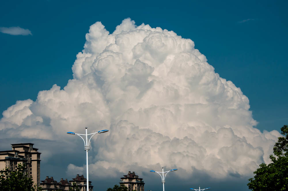 夏の空