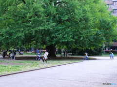 校内が遊び場
