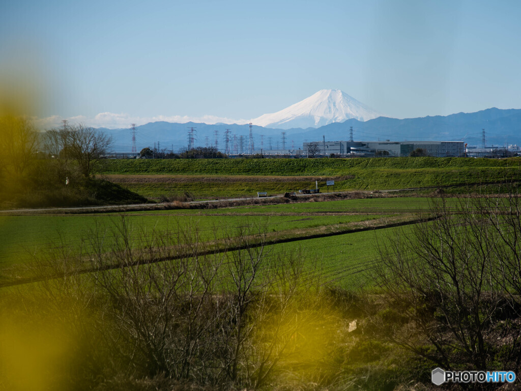 富士山を望んで