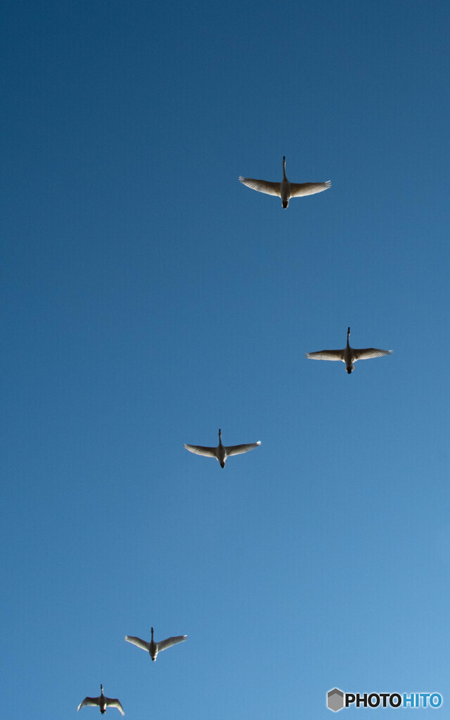 空高く