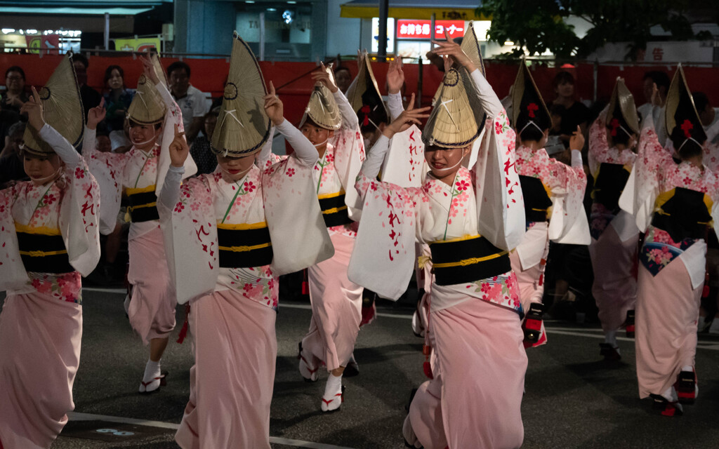 夜の阿波踊り