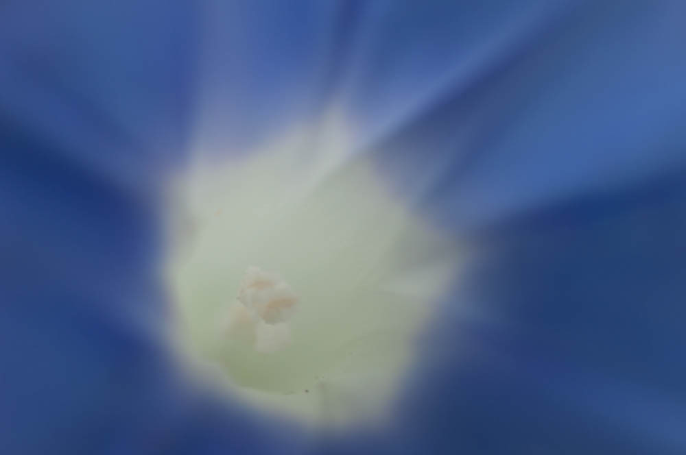 タイムトンネル
