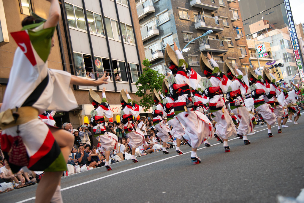 高円寺　阿波踊り2018 No.７