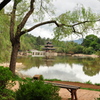 佇む　DSC_0093