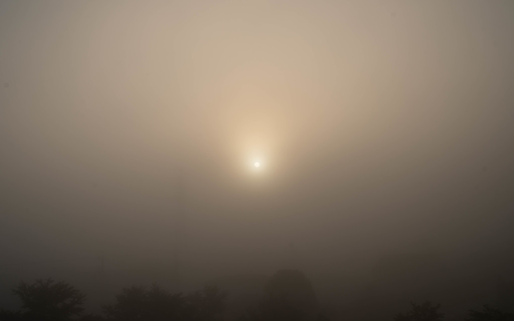濃霧の日の出
