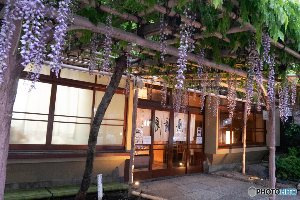 藤棚のあるお店