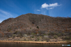 もうすっかり冬の装い