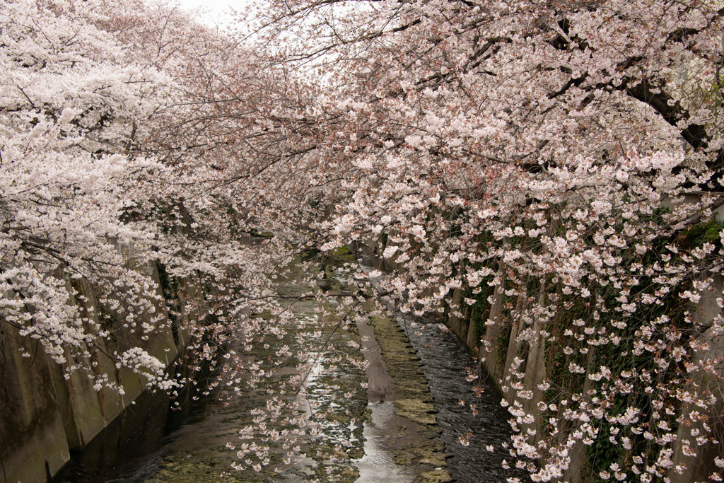 幾重にも