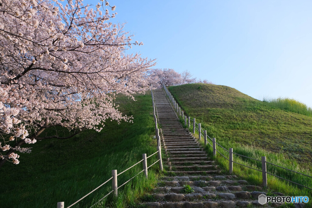 古墳にも春到来