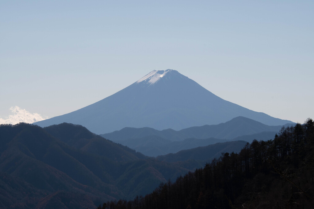 気高き富士を望みて