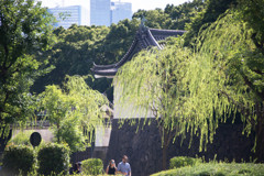 皇居散策