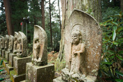 師走の大和路　室生寺編