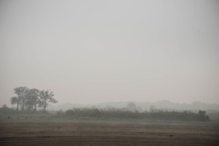 荒野