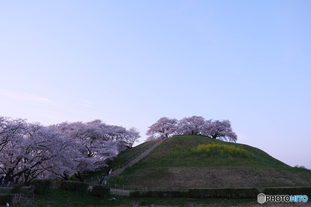 古代ロマンに訪れる春
